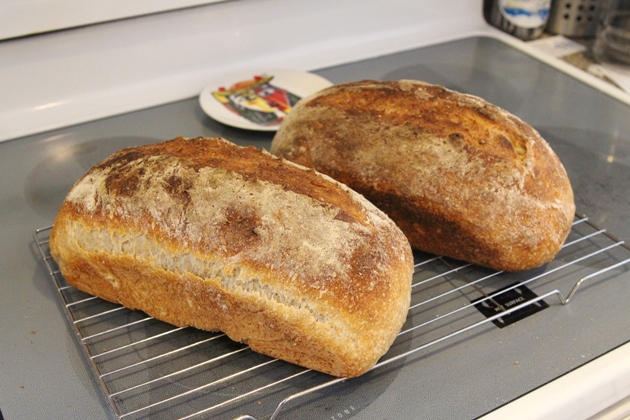 Tartine style loaves